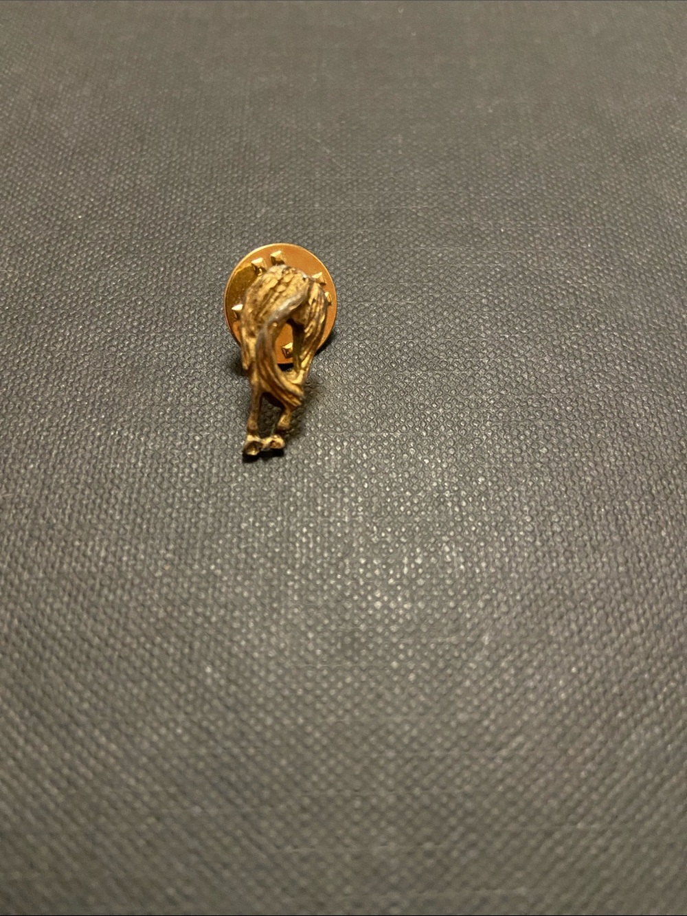 Western Gold horse rider lover horses ass butt equestrian lapel tie Pin brooch
